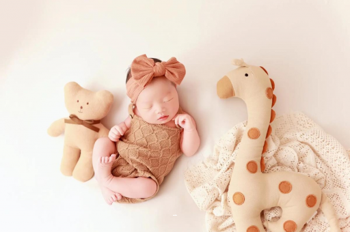 高平宝宝虾的做法 高平宝宝虾的做法